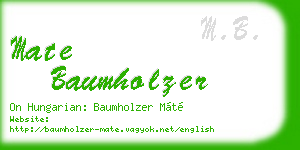 mate baumholzer business card